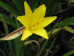 006_1067x800.JPG