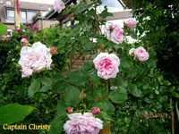 IMG_4741-002.webp