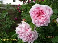 IMG_4746-002.webp