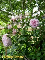 IMG_4841.webp