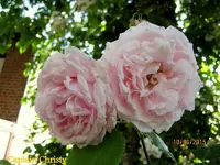 IMG_5044.webp