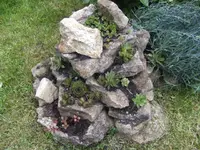 BILD3995.webp