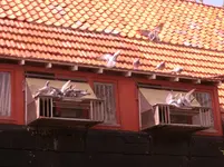 CIMG0685.jpg