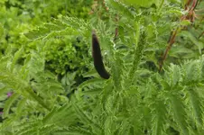 DSCF1543.webp