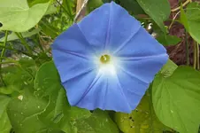 DSCF1534.webp