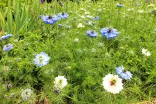 DSCF1483 (2).webp