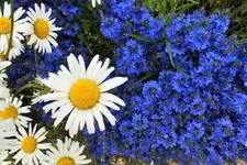 DSCF1480 (2).webp