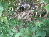 IMG_0179.webp
