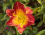 IMG_9552.jpg