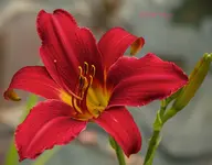 IMG_9564.webp