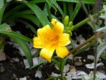 DSCN9121.jpg