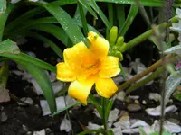 DSCN9121.webp