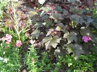 014.webp