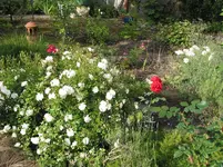 015.webp
