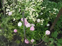 016.webp