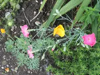019.webp
