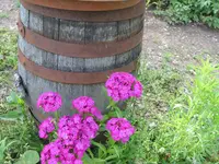 020.webp