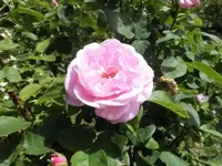 Bilda002.webp