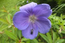 DSCF1556.webp