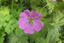 DSCF1561.webp