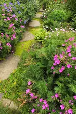 DSCF1555 (2).webp