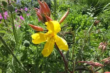 DSCF1564.webp