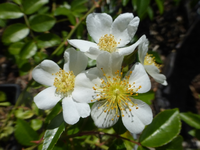 P1440070.webp