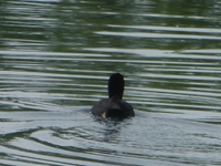 P1440137.webp