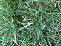 image2.webp