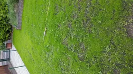 20150611_122146.webp