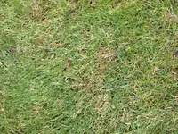 IMG_3009.webp