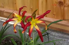 IMG_9684.webp