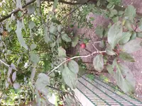 image.webp