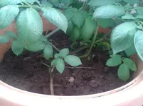 20150618_191950.webp