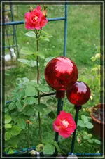 comp_DSC03806.webp