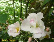 IMG_5318.webp