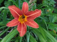 DSCF3873.webp