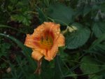 DSCF3871.jpg