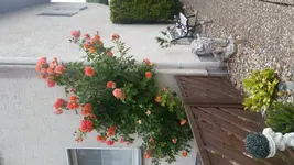 20150618_201409.webp