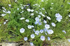 DSCF1459 (2).webp