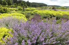 DSCF1464.webp