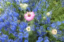 DSCF1465.webp
