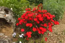 DSCF1473.webp