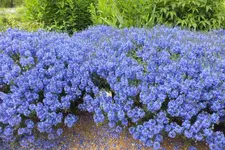 DSCF1476.webp