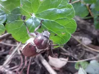 P1440340.webp
