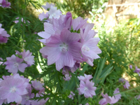 P1440006.webp