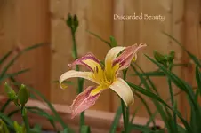 IMG_9721.jpg