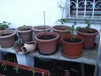 BILD3947.webp