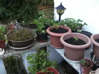 BILD3948.webp