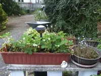 BILD3949.webp